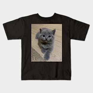 the blue cute cats Kids T-Shirt